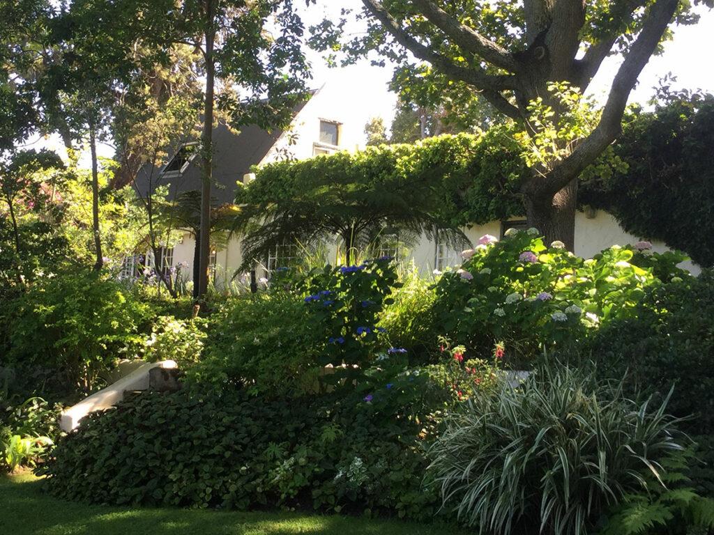 Constantia accommodation Cape Town