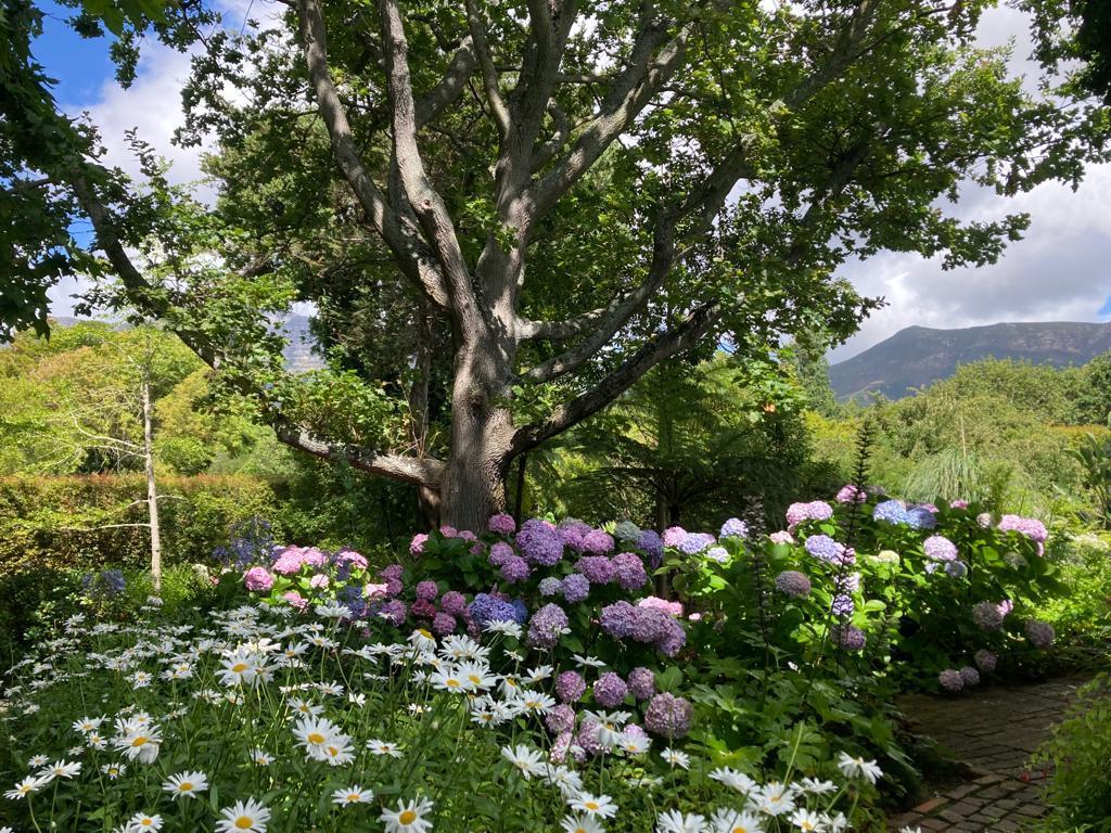 Constantia accommodation Cape Town