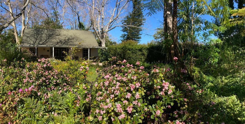 Constantia accommodation Cape Town